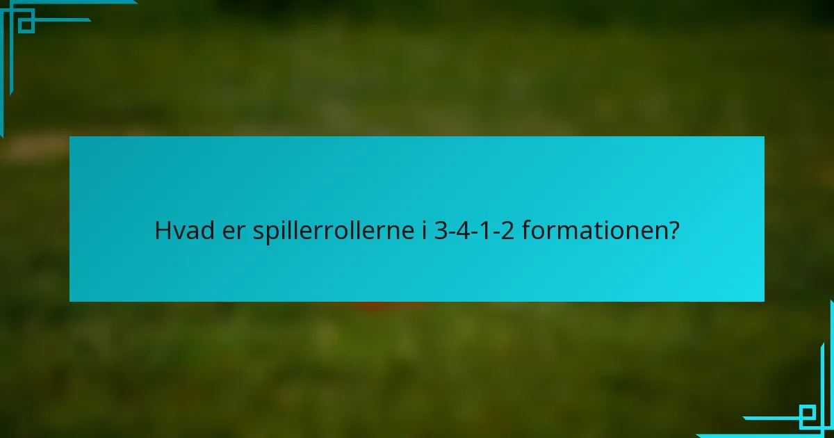 Hvad er spillerrollerne i 3-4-1-2 formationen?